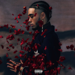 美女们没有衣服和裤子网站
