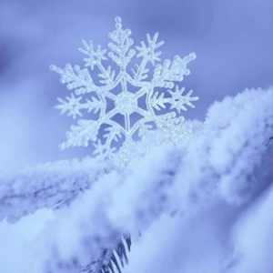 美女们没有衣服和裤子网站
